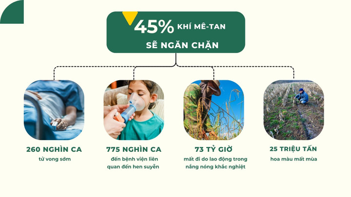 Khí mê-tan - 'sát thủ' của khí hậu trái đất - 6