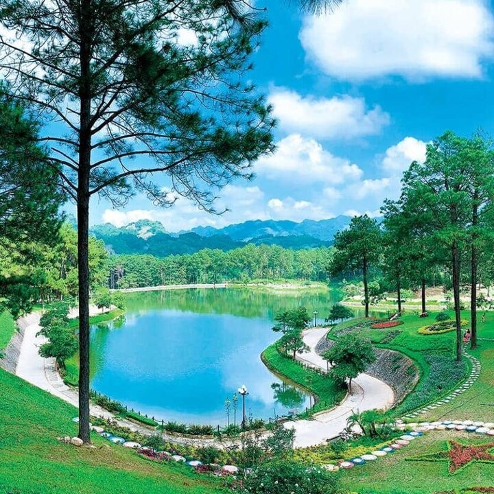 Rừng thông Bản Áng nổi tiếng là điểm du lịch hoang sơ của vùng đất cao nguyên Mộc Châu.
