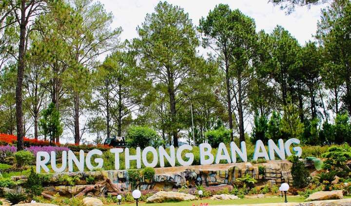 Hành trình đến rừng thông Bản Áng ngày nay có thể dễ dàng di chuyển hơn rất nhiều.