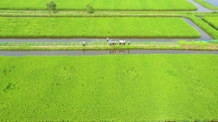 Việt Nam lên Kế hoạch quốc gia thích ứng với biến đổi khí hậu (cập nhật) xác định 162 nhiệm vụ ưu tiên.