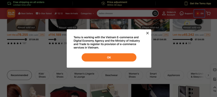 Thông báo bằng tiếng Anh khi người dùng truy cập vào sàn thương mại điện tử Temu. (Ảnh chụp màn hình)