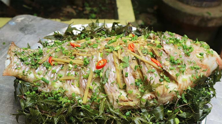 Món cá hấp đinh lăng thích hợp chấm mắm gừng ớt.