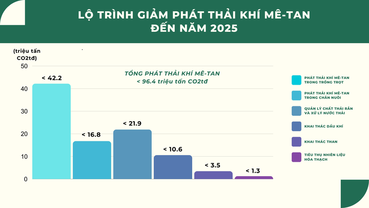Việt Nam cam kết giảm ít nhất 30% tổng lượng phát thải khí mê-tan vào năm 2030 - 4