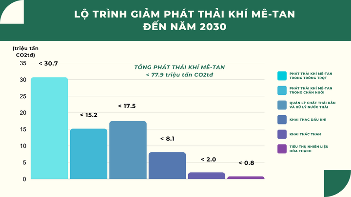 Việt Nam cam kết giảm ít nhất 30% tổng lượng phát thải khí mê-tan vào năm 2030 - 5