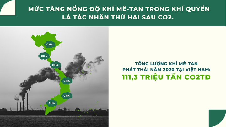 Việt Nam cam kết giảm ít nhất 30% tổng lượng phát thải khí mê-tan vào năm 2030 - 9