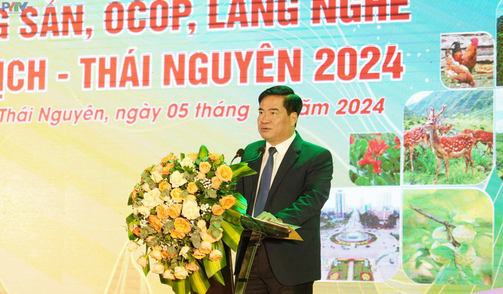 Phó Chủ tịch UBND tỉnh Thái Nguyên Lê Quang Tiến phát biểu Khai mạc Festival.