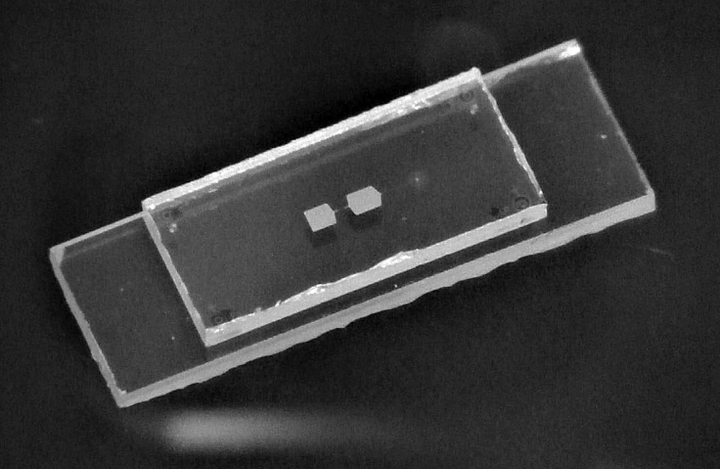 Mô phỏng qubit cơ học của nhóm nghiên cứu đến từ ETH Zurich. (Nguồn ảnh: China Science News).