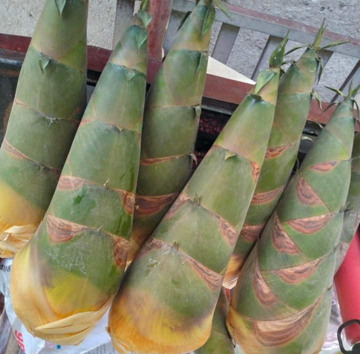Chọn mua măng tươi, non sẽ ngâm rất giòn, ngon. (Ảnh: H. Linh)