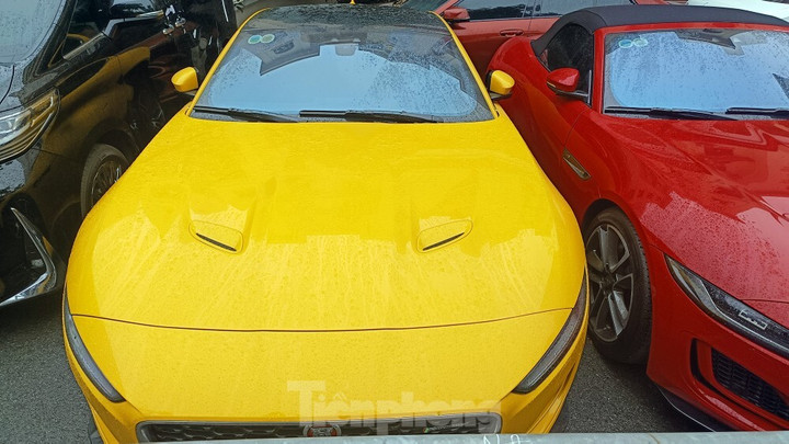 Cận cảnh dàn siêu xe bị tạm giữ trong vụ Phó Đức Nam - Mr Pips - 10