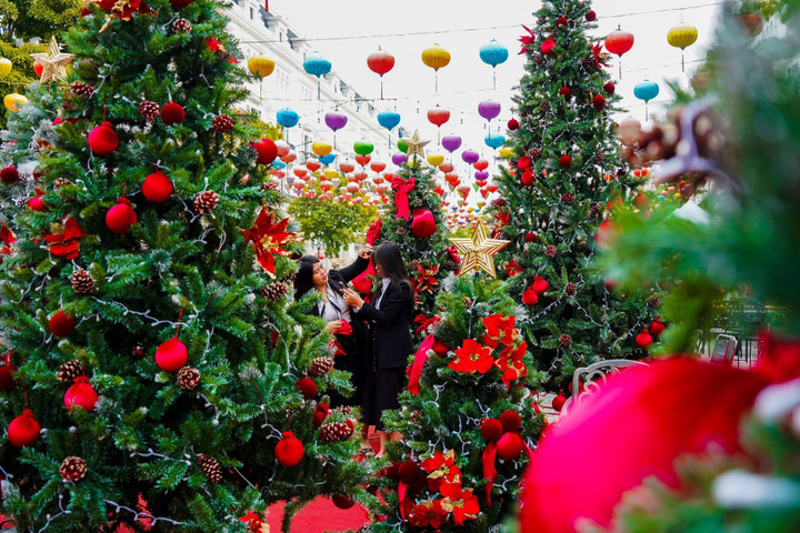 Vườn thông khổng lồ tại Danko City được trang trí bắt mắt, thu hút sự chú ý của người dân trong mùa Giáng sinh 2024.