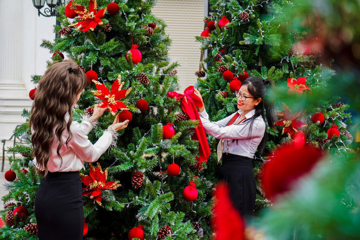 Giới trẻ thích thú check-in vườn thông 'khổng lồ' tại khu đô thị Danko City - 2