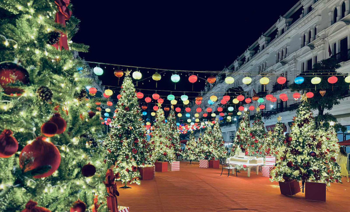 Nơi đây nhanh chóng trở thành điểm check-in lý tưởng của giới trẻ.