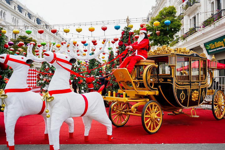 Giới trẻ thích thú check-in vườn thông 'khổng lồ' tại khu đô thị Danko City - 1