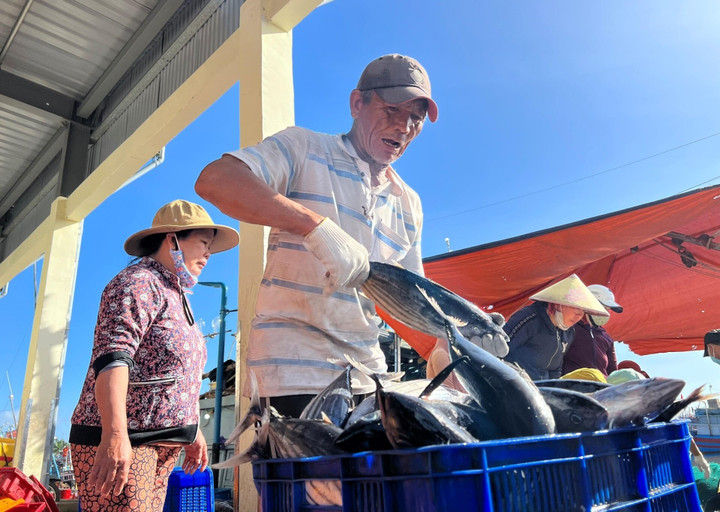 Ngư dân quyết tâm gỡ "thẻ vàng" khai thác IUU.