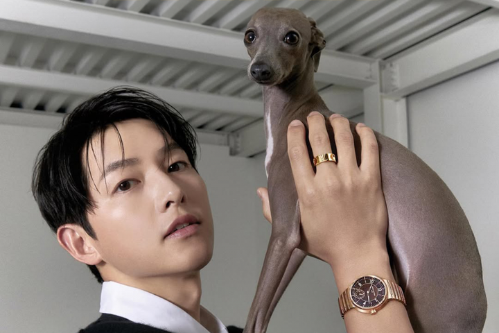 Tranh cãi số lượng vai chính ít ỏi của Song Joong Ki trên màn ảnh nhỏ.