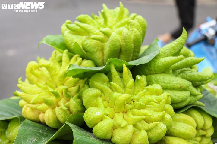 Đặc biệt năm nay phật thủ khá đắt đỏ, những quả to đẹp mã có giá từ vài trăm đến cả triệu đồng/quả. "Năm nay nhiều diện tích trồng phật thủ tại Hà Nội bị thiệt hại do ảnh hưởng bởi siêu bão Yagi nên sản lượng giảm, giá có phần tăng cao", một người bán lý giải.