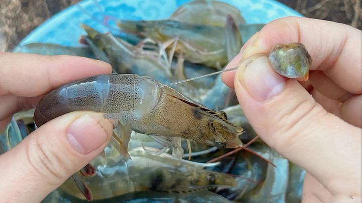 Vì sao phải loại bỏ đường chỉ đen trên lưng tôm? (Ảnh: CPFoods)