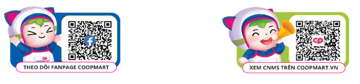 Co.opmart, Co.opXtra phủ kín quầy kệ bằng 3.500 mặt hàng Tết - 5