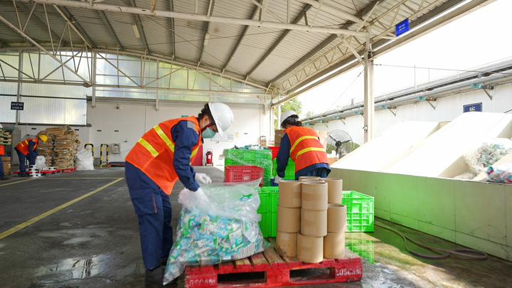 Phân loại hộp sữa sau khi sử dụng tại nhà máy FrieslandCampina.