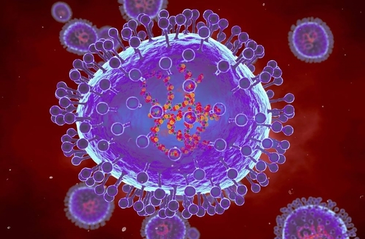 Minh họa máy tính về các hạt của metapneumovirus ở người (HMPV).