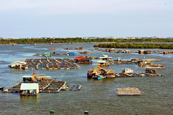 Người dân ở Côn Đảo chủ yếu làm nghề nuôi trồng hải sản, vì thế không khó để tìm được làng bè khi đi tham quan hòn đảo xinh đẹp này. (Ảnh: MAG)