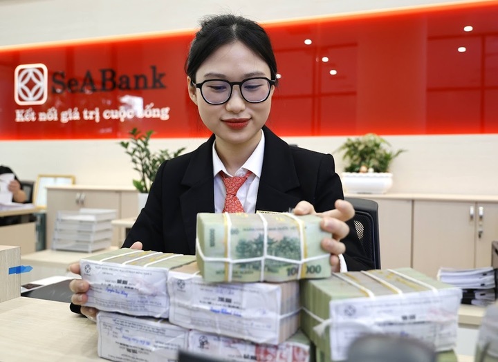 SeABank lãi trước thuế 6.039 tỷ đồng năm 2024 - 2