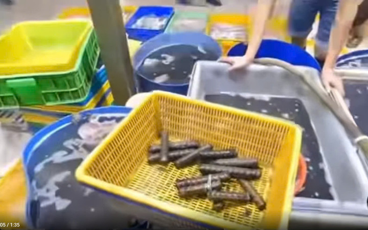 (Ảnh cắt từ clip)