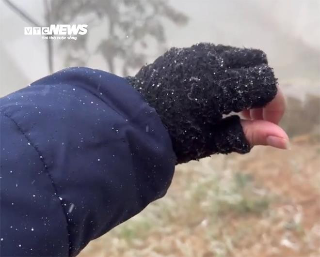 Họ đưa cánh tay để hứng tuyết rơi.