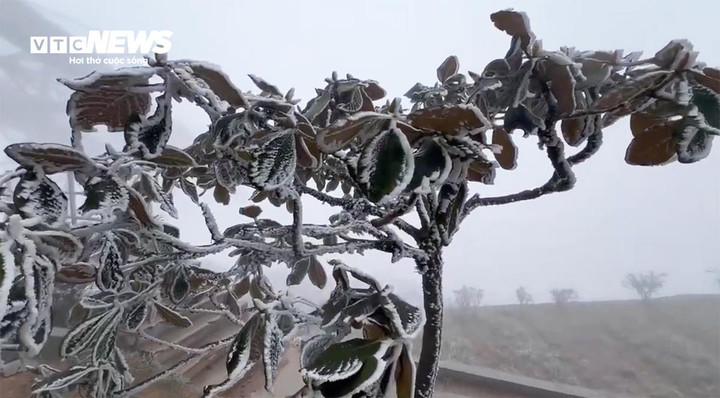 Theo Trung tâm Dự báo khí tượng thuỷ văn quốc gia, không khí lạnh đã ảnh hưởng đến các tỉnh Bắc Bộ, Bắc Trung Bộ và một số nơi ở Trung Trung Bộ. Chiều tối và đêm 27 Tết, không khí lạnh tiếp tục ảnh hưởng đến các nơi khác ở Trung Trung Bộ và một số nơi ở Nam Trung Bộ. Gió đông bắc trong đất liền mạnh cấp 3-4, vùng ven biển cấp 4-5, có nơi giật cấp 6-7.