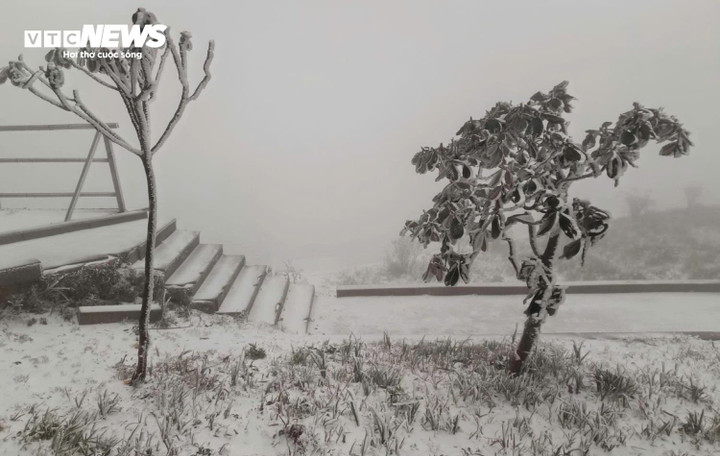 Trước đó, khu vực này từng nhiều lần xuất hiện băng giá và sương muối khi nhiệt độ giảm sâu.
