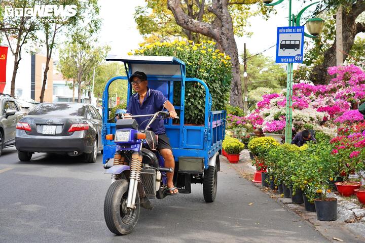 Chiều 28/1 (tức 29 Tết) không khí Tết đã về trên khắp phố phường TP Vũng Tàu, người dân tấp nập đi sắm Tết, chọn chậu cúc, mai để chào đón năm mới.