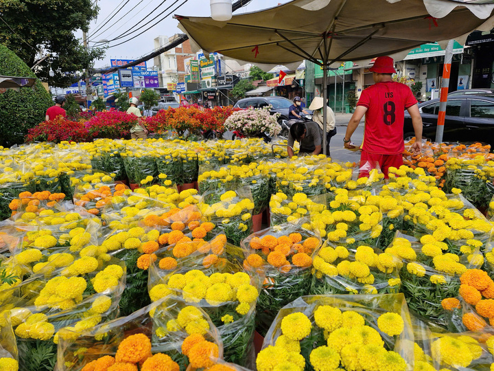 Thực tế chỉ có những chợ hoa tại công viên trung tâm thành phố mới bị áp lực trả mặt bằng đúng quy định, các nơi khác đến chiều 30 hoa vẫn còn rất nhiều. (Ảnh: H. Linh)