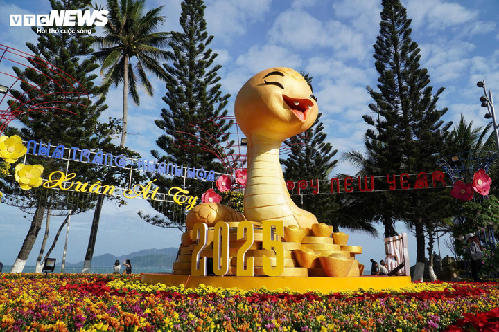 Rắn có lớp vảy màu vàng, khuôn mặt cười tươi, nằm trên đống tiền xu. Tiền xu cũng là họa tiết của bồn hoa, tạo nên từ sắc đỏ, vàng của đủ loại hoa cúc, hoa trạng nguyên,...