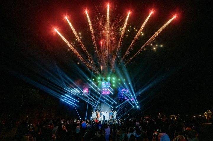 Duy Mạnh cùng Trọng Tấn, Đinh Thành Lê hát tại Eco Central Park tối mùng 3 Tết - 7