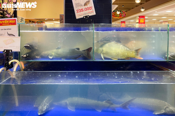 Siêu thị lại đầy ắp hàng hóa sau kỳ nghỉ Tết Nguyên đán Ất Tỵ - 8