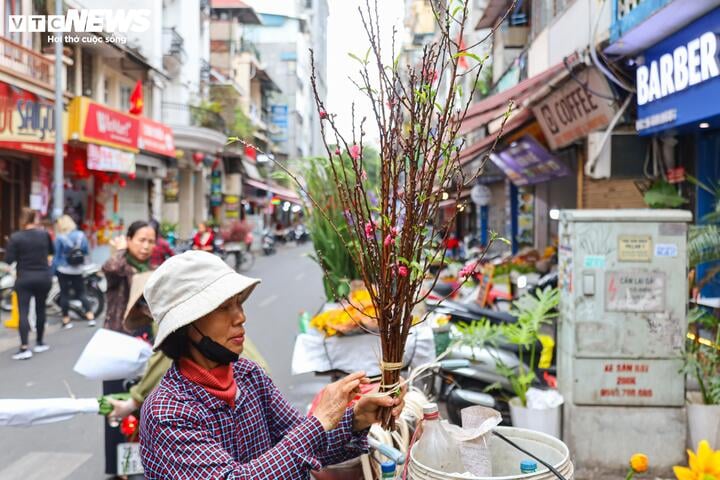 Giá hàng hóa sau Tết hạ 'nhiệt', cau vẫn cao ngất ngưởng - 5