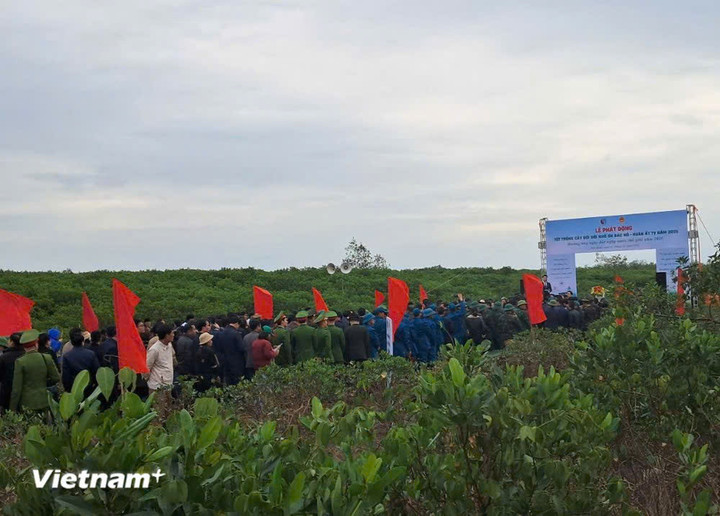 Lễ phát động Tết trồng cây tại Khu Bảo tồn thiên nhiên đất ngập nước Thái Thụy. (Ảnh: Hùng Võ/Vietnam+)