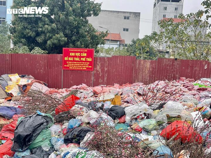 Theo ghi nhận, hàng chục tấn bánh kẹo các loại được chất thành núi, vứt bỏ tại khu vực bãi rác ven tuyến đường dân sinh Đồng Tiến của xã La Phù ngay sau những ngày nghỉ lễ Tết Nguyên đán 2025 khiến khu vực này chìm trong cảnh nhếch nhác.