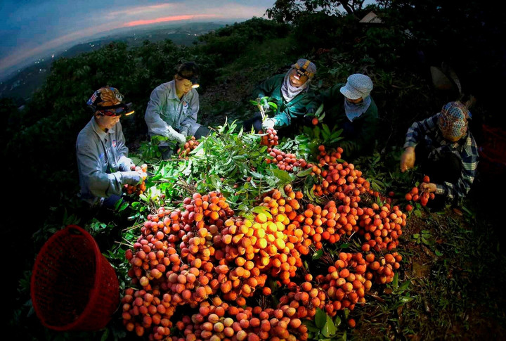 Tỉnh nào có tốc độ tăng trưởng kinh tế cao nhất Việt Nam? - 3