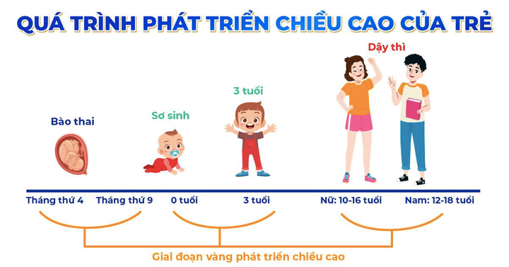 Đừng bỏ lỡ giai đoạn vàng phát triển chiều cao cùng WOWTOP - 1
