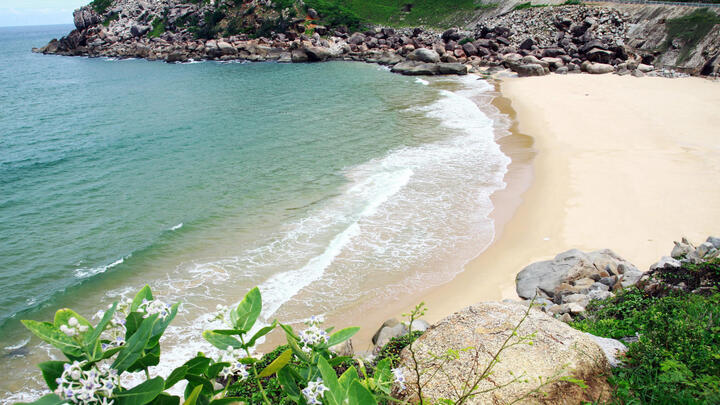 Đường đi đến Bãi Tiên ngoằn ngoèo, uốn lượn.