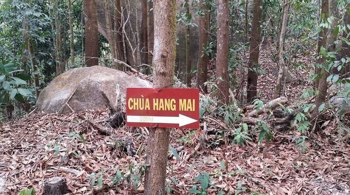 Biển chỉ dẫn hướng lên chùa Hang Mai.