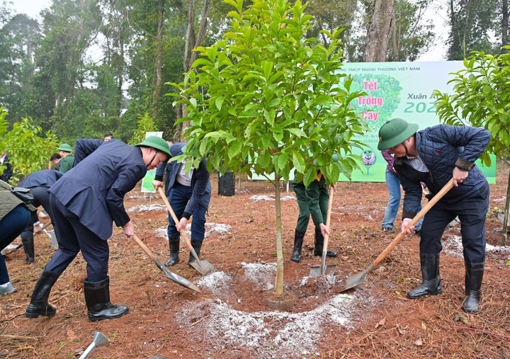 Ông Nguyễn Thanh Tùng - UV BCH Đảng bộ Chính phủ, Bí thư Đảng ủy, Chủ tịch Hội đồng Quản trị Vietcombank (bên phải); đ/c Lê Quang Vinh – UV BTV Đảng ủy, Phó Tổng Giám đốc phụ trách BĐH (bên trái) và đ/c Hồng Quang – UV BCH TLĐLĐVN, UV BTV Đảng ủy, Thành viên HĐQT, Chủ tịch Công đoàn Vietcombank (phía sau) trồng cây tại sự kiện.