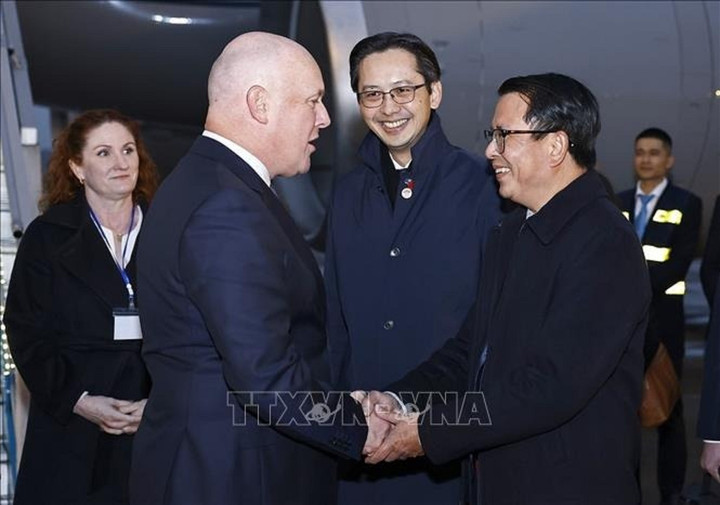 Thứ trưởng Bộ Ngoại giao Đỗ Hùng Việt và các cán bộ của Bộ Ngoại giao đón Thủ tướng New Zealand Christopher Luxon tại sân bay quốc tế Nội Bài. (Ảnh: Doãn Tấn/TTXVN)