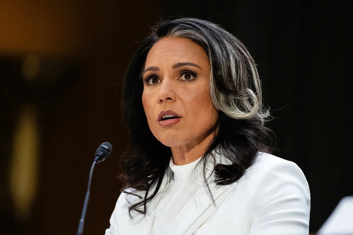 Giám đốc Tình báo quốc gia Mỹ Tulsi Gabbard. (Ảnh: NYT)