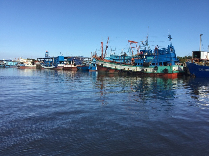 Địa phương nào đứng đầu cả nước về xuất khẩu thủy sản? - 2