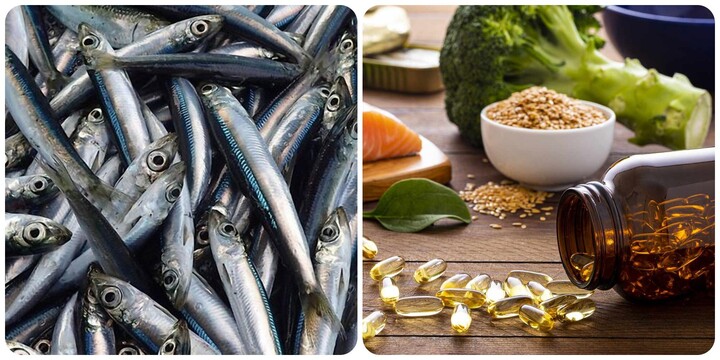Cá cơm rất giàu dinh dưỡng, tốt cho sức khoẻ