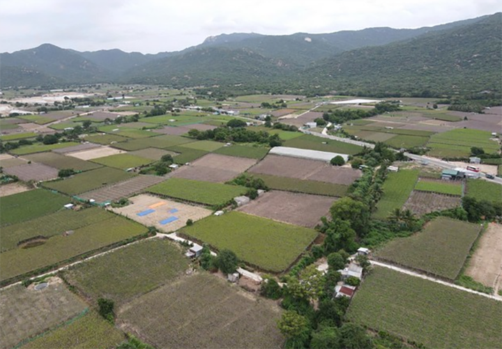 Thôn Thái An - nơi được quy hoạch xây dựng nhà máy điện hạt nhân Ninh Thuận 2.