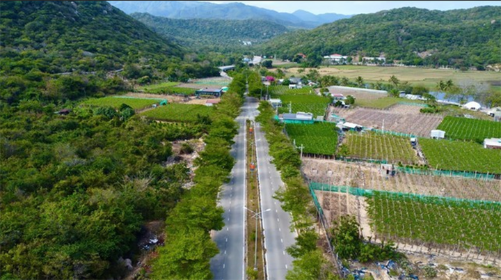 Khu vực quy hoạch xây dựng khu tái định cư cho người dân.