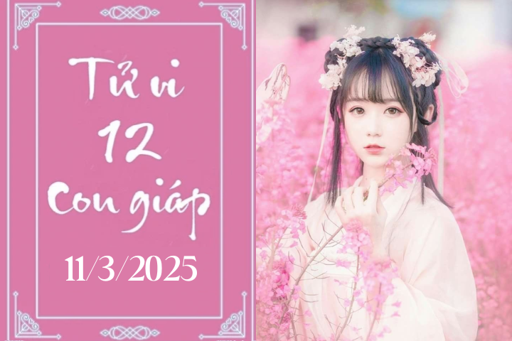 Tử vi 12 con giáp hôm nay ngày 11/3/2025: Mão thuận lợi, Tuất phát triển